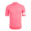 High-Vis Pink